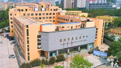青岛大学