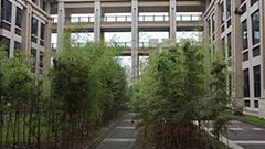 翠竹风骨园